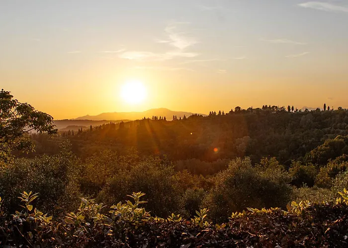 Collebrunacchi ristorante B&b San Miniato